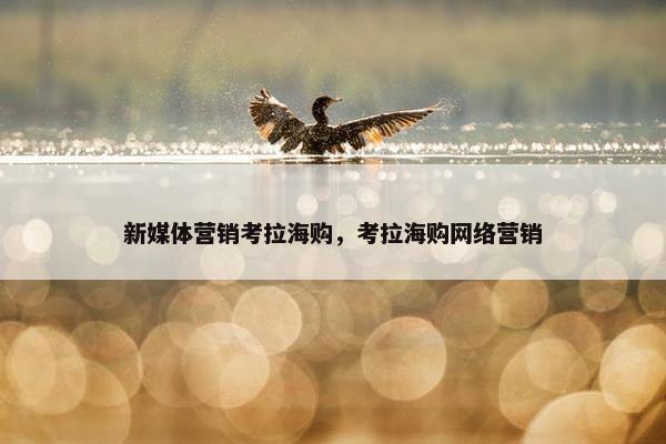 新媒体营销考拉海购，考拉海购网络营销