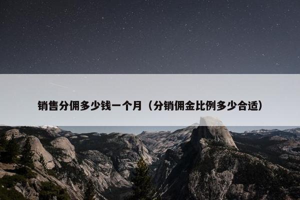销售分佣多少钱一个月(分销佣金比例多少合适)