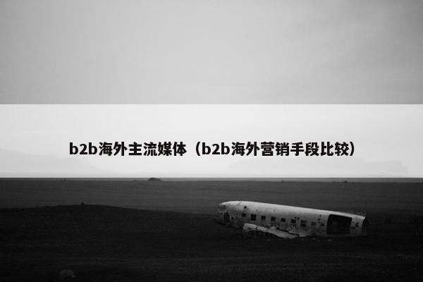 b2b海外主流媒体（b2b海外营销手段比较）