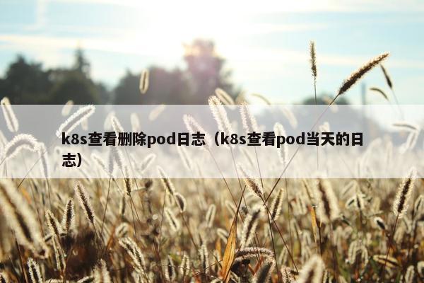 k8s查看删除pod日志（k8s查看pod当天的日志）