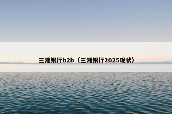 三湘银行b2b（三湘银行2025现状）