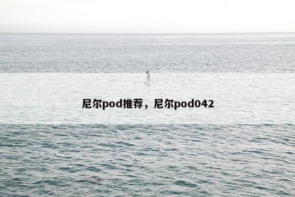 尼尔pod推荐,尼尔pod042