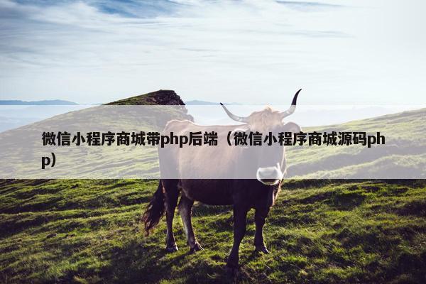 微信小程序商城带php后端（微信小程序商城源码php）