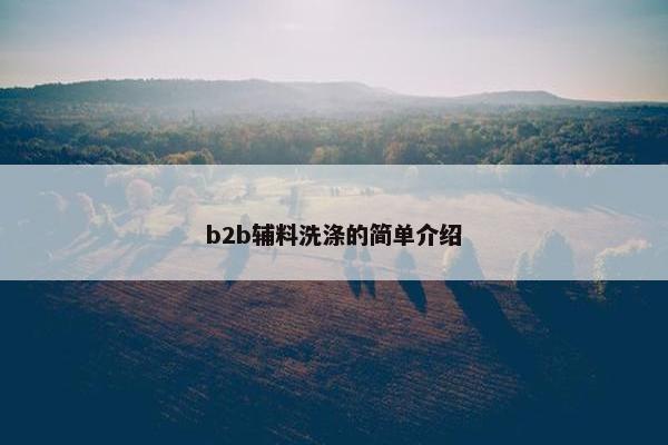b2b辅料洗涤的简单介绍