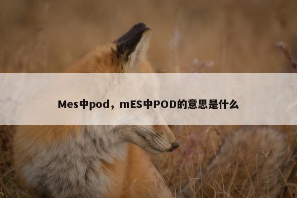 Mes中pod，mES中POD的意思是什么