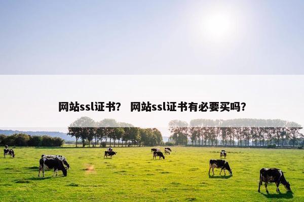 网站ssl证书? 网站ssl证书有必要买吗?