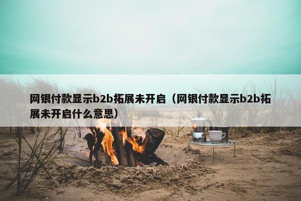 网银付款显示b2b拓展未开启（网银付款显示b2b拓展未开启什么意思）