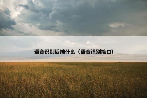 语音识别后端什么（语音识别接口）