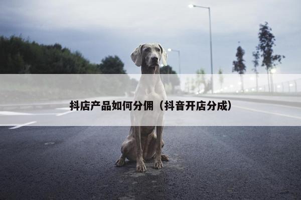 抖店产品如何分佣（抖音开店分成）