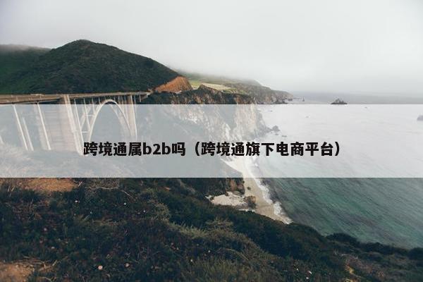 跨境通属b2b吗（跨境通旗下电商平台）