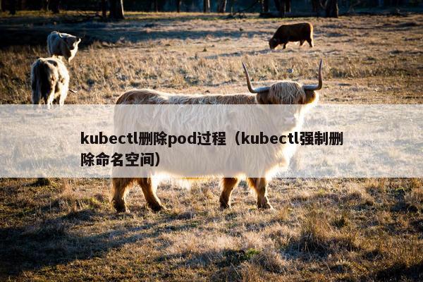 kubectl删除pod过程（kubectl强制删除命名空间）