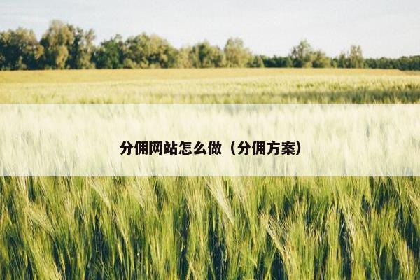 分佣网站怎么做(分佣方案)