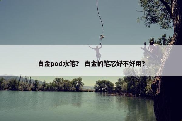 白金pod水笔？ 白金的笔芯好不好用？