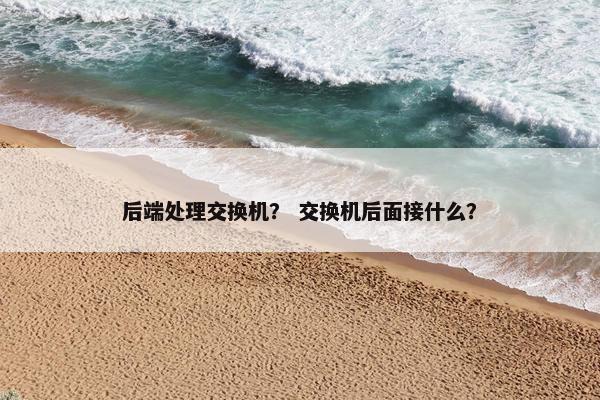 后端处理交换机？ 交换机后面接什么？