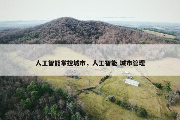 人工智能掌控城市,人工智能 城市管理
