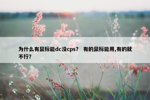 为什么有鼠标能dc没cps？ 有的鼠标能用,有的就不行？