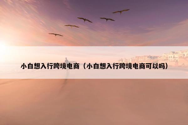 小白想入行跨境电商（小白想入行跨境电商可以吗）