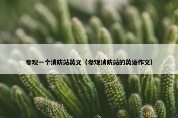 参观一个消防站英文(参观消防站的英语作文)