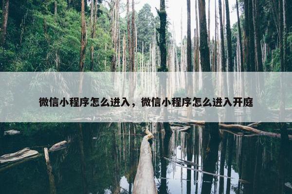 微信小程序怎么进入，微信小程序怎么进入开庭