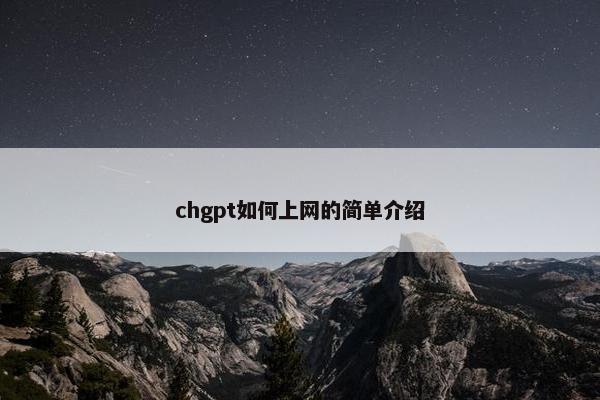 chgpt如何上网的简单介绍