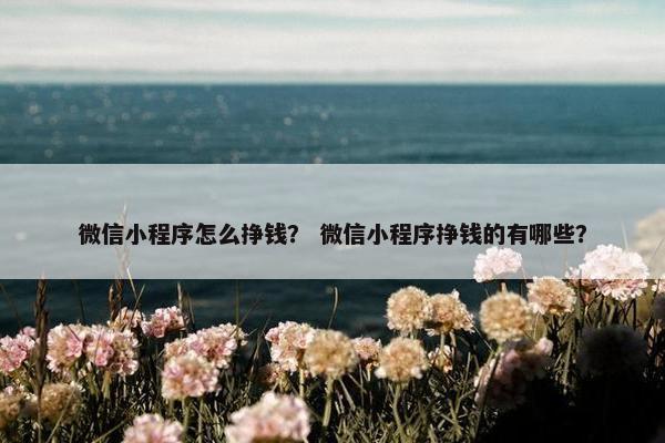微信小程序怎么挣钱? 微信小程序挣钱的有哪些?