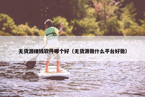 无货源赚钱软件哪个好（无货源做什么平台好做）