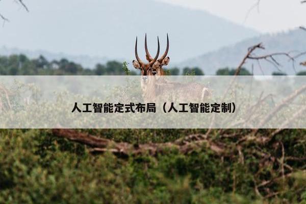 人工智能定式布局（人工智能定制）