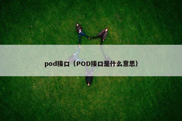 pod接口（POD接口是什么意思）
