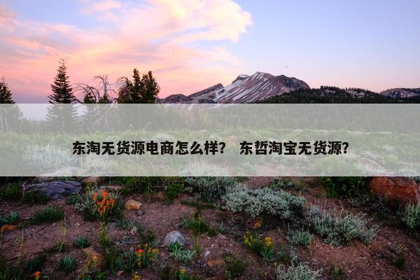 东淘无货源电商怎么样? 东哲淘宝无货源?