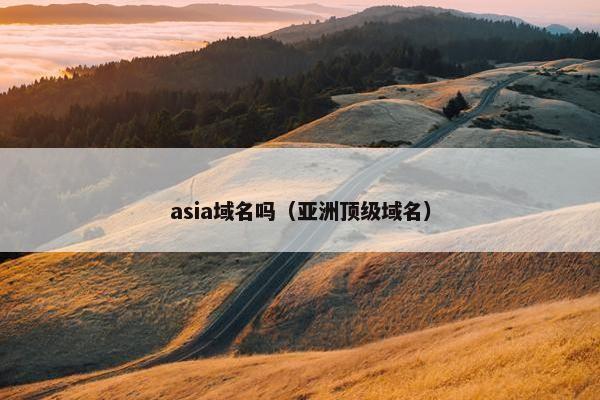 asia域名吗(亚洲顶级域名)