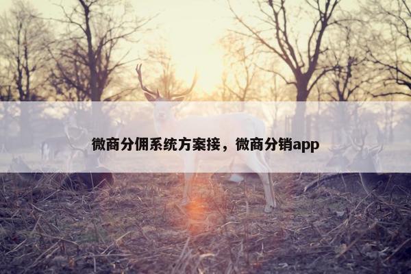 微商分佣系统方案接,微商分销app