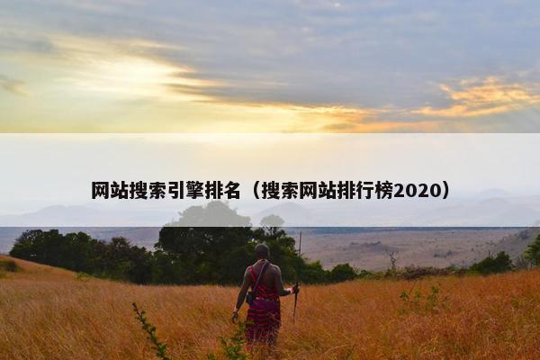 网站搜索引擎排名(搜索网站排行榜2020)