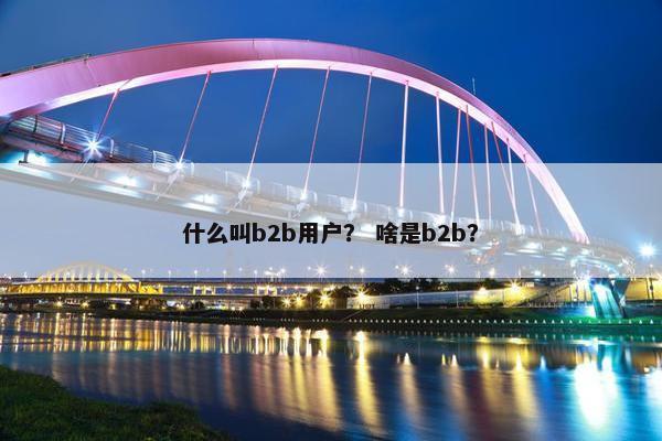 什么叫b2b用户? 啥是b2b?