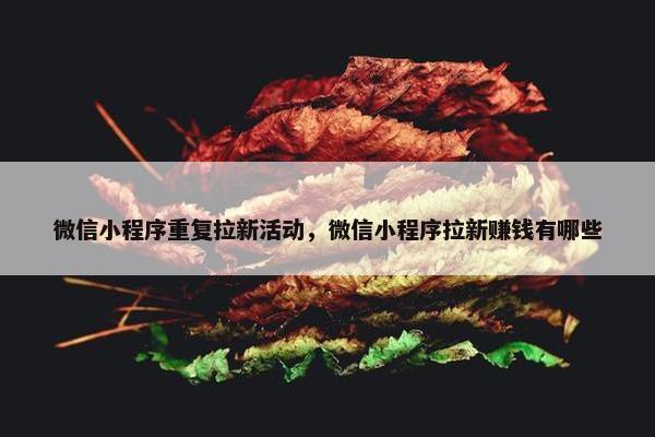 微信小程序重复拉新活动,微信小程序拉新赚钱有哪些