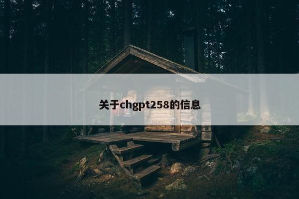 关于chgpt258的信息