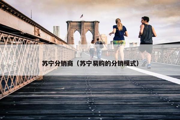 苏宁分销商(苏宁易购的分销模式)