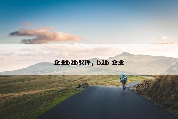 企业b2b软件，b2b 企业