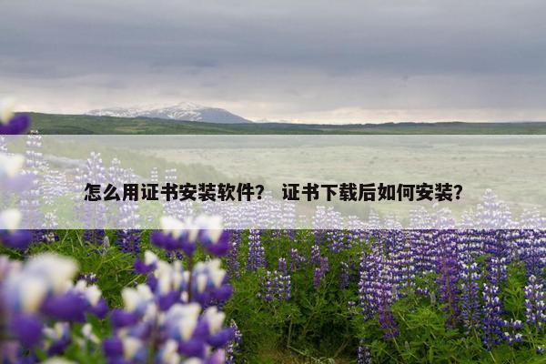 怎么用证书安装软件? 证书下载后如何安装?