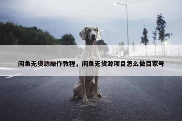 闲鱼无货源操作教程，闲鱼无货源项目怎么做百家号