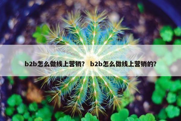 b2b怎么做线上营销? b2b怎么做线上营销的?