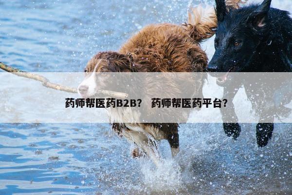 药师帮医药B2B? 药师帮医药平台?