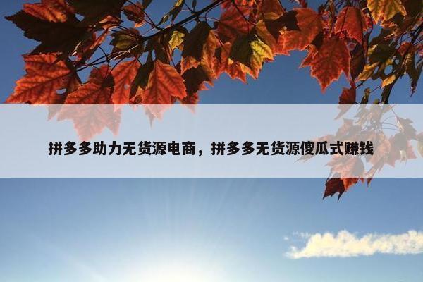 拼多多助力无货源电商,拼多多无货源傻瓜式赚钱