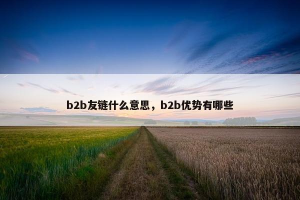 b2b友链什么意思,b2b优势有哪些
