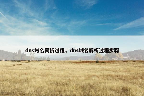dns域名简析过程,dns域名解析过程步骤