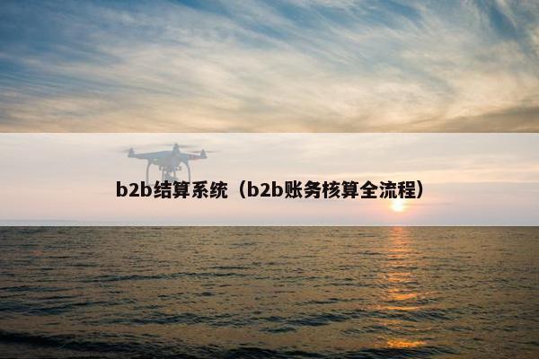 b2b结算系统(b2b账务核算全流程)