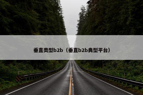 垂直类型b2b(垂直b2b典型平台)
