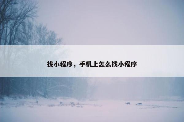 找小程序,手机上怎么找小程序