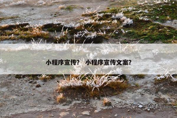小程序宣传? 小程序宣传文案?