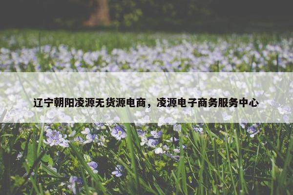 辽宁朝阳凌源无货源电商,凌源电子商务服务中心