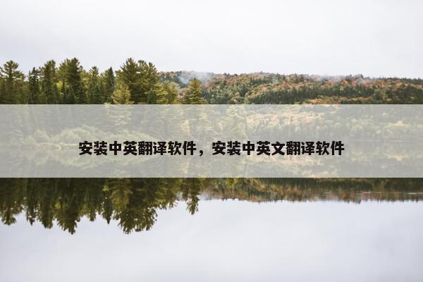 安装中英翻译软件,安装中英文翻译软件